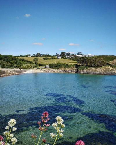 a large body of water with flowers in the foreground at Ty laouen in Crozon