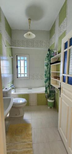 Koupelna v ubytování Villa Temlel