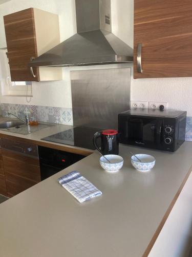 - un comptoir de cuisine avec 2 bols et un four micro-ondes dans l'établissement Appartement tout confort, avec terrasse, à Niederbronn-les-Bains