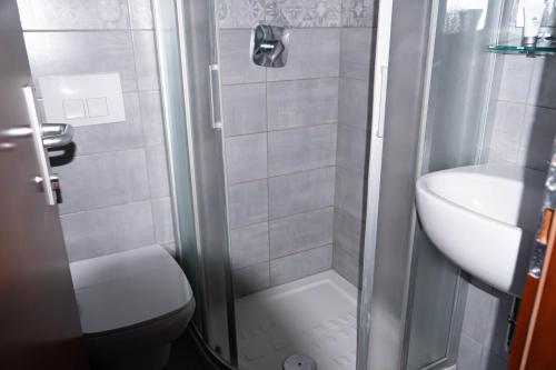 a bathroom with a shower and a toilet and a sink at Sobe in apartmaji Triglav - Gostinstvo Tomex in Ilirska Bistrica