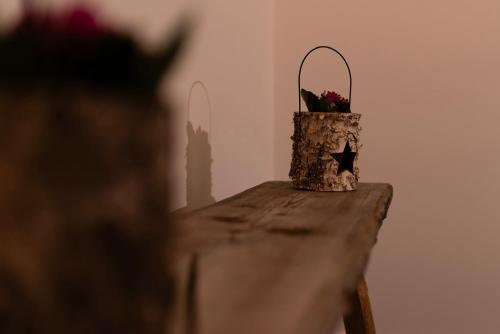 a plant in a pot sitting on a table at Lussari Style Apartments in Camporosso in Valcanale