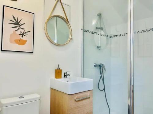 une salle de bain avec un lavabo et une douche avec un miroir dans l'établissement Jonquille 9 trés cozy proche centre ville, à Reims