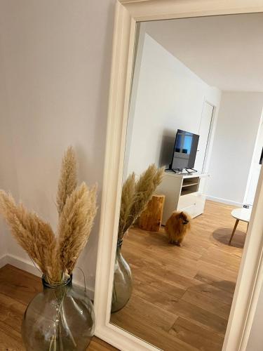 uno specchio con un vaso e un gatto in una stanza di Townhouse in Gramat a Gramat