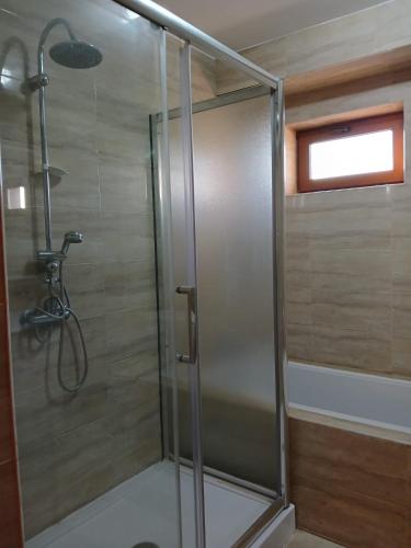 een douche met een glazen deur in een badkamer bij Vila cu Flori in Eforie Sud