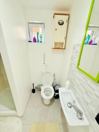 a bathroom with a white toilet and a sink at Le Sanctuaire d'Emilie in Mons