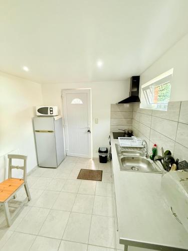 a kitchen with a sink and a refrigerator at Le Sanctuaire d'Emilie in Mons