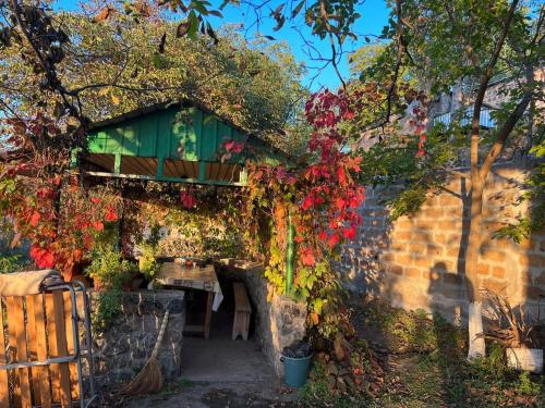 Zahrada ubytování Gardeni Small