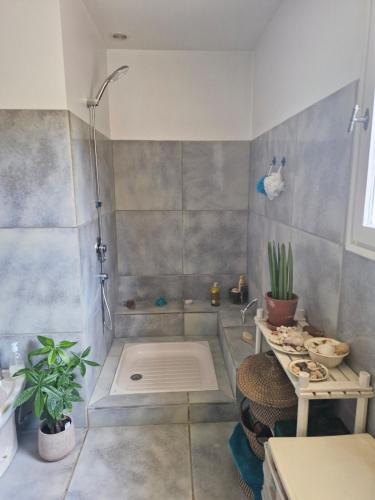 une salle de bain avec une douche, un lavabo et une baignoire dans l'établissement Villa avec jacuzzi au cœur de la Provence !, à Monteux