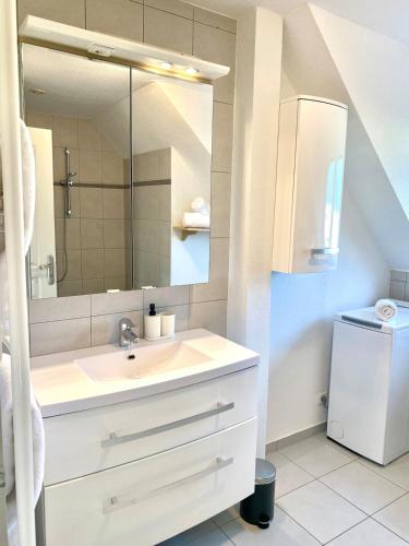 une salle de bain avec un lavabo et un miroir dans l'établissement Grand T3, 2 chambres, jardin au calme - Gîte du Photographe, à Guémar