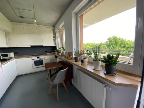 Η κουζίνα ή μικρή κουζίνα στο Apartment w stylu loft