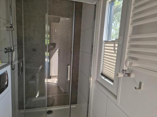 a glass shower in a bathroom with a window at Camping Alkenhaer Appelscha Chalet 017 in Appelscha