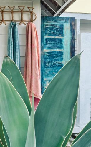 a plant and towels hanging on a wall at Beach Lifestyle Bungalow in Motu Tiahura