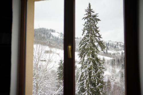a window with a view of a snow covered tree at Край Неба in Slavske