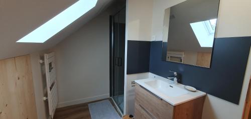 une salle de bain avec un lavabo et un miroir dans l'établissement Gîte Le Côme 7 -10 personnes, à Saint-Ours