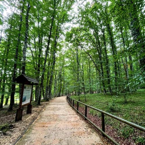 Příroda nedaleko apartmánu