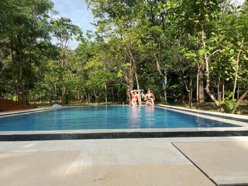 Bazén v ubytování Ali Adi Eco Resort nebo v jeho okolí