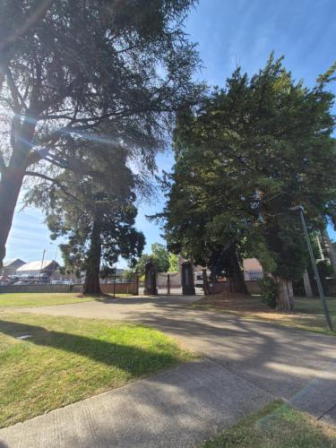 two trees on the side of a road at Domitys - Le Carillon d'or in Maubeuge
