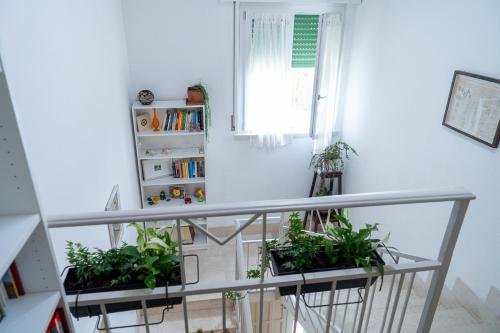 a balcony with potted plants in a room at Agriturismo Le Marognole in Colà di Lazise