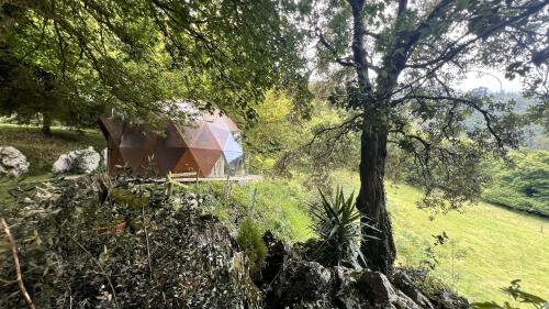 Zahrada ubytování DomoCantabria, Cúpula experiencias