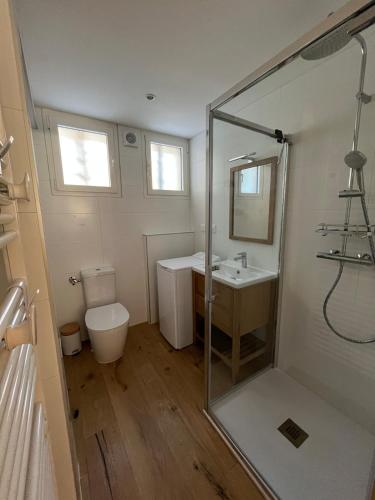 une salle de bain avec une douche, des toilettes et un lavabo dans l'établissement Chalet 3 chambres avec jardin - Les Angles, aux Angles