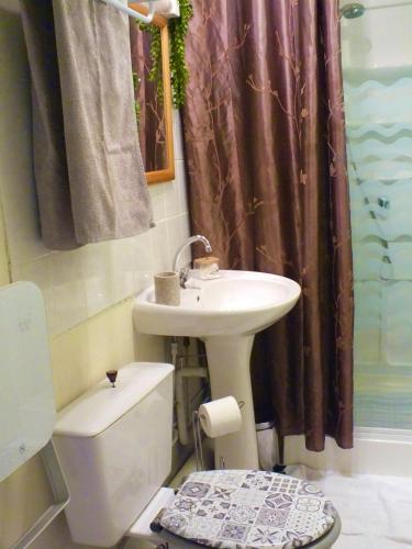 une salle de bain avec un lavabo et des toilettes dans l'établissement Domaine L'Insolite KOSI, à Cirey-sur-Vezouse