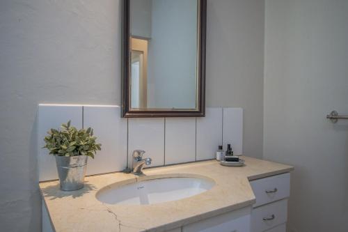 a bathroom sink with a mirror and a potted plant at The Owl's Nest in McGregor
