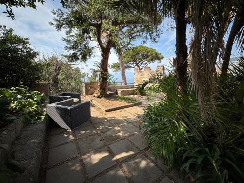 Κήπος έξω από το Maison Vittoria