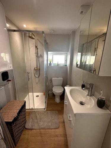 une salle de bain avec une douche, un lavabo et des toilettes dans l'établissement Maisonnette Cosy T2 parking privé, à Niort