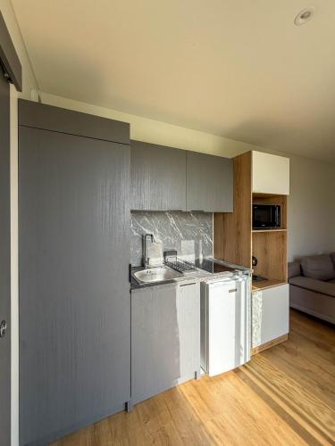 une cuisine avec un évier et un plan de travail dans l'établissement La Box des Oiseaux, à Gamarde-les-Bains