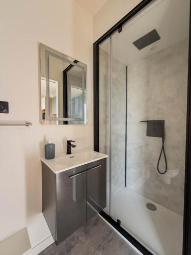 une salle de bain avec un lavabo et une douche dans l'établissement La Box des Oiseaux, à Gamarde-les-Bains