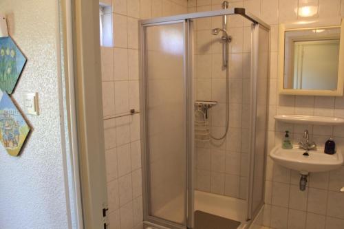 Ένα μπάνιο στο Bungalow Zonnedael