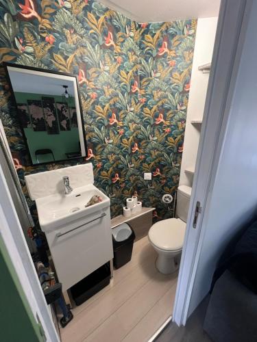 une salle de bain avec un lavabo et un miroir et des toilettes dans l'établissement appart Alain, à Langogne