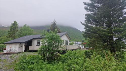 a house in a field with trees and a mountain at Linda`s house in Grashopen