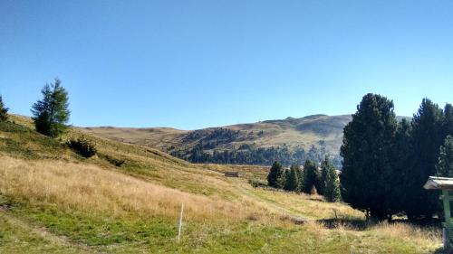 a grassy hill with trees and mountains in the background at Apartment Almhaus Innerkrems in Innerkrems
