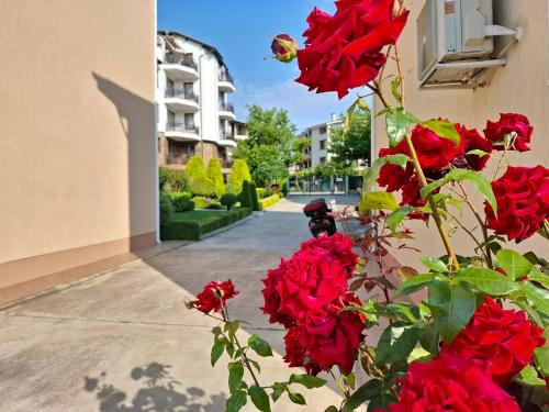 Fotografie z fotogalerie ubytování SUN SEA 3BDR PENTHOUSE, Ravda v destinaci Ravda