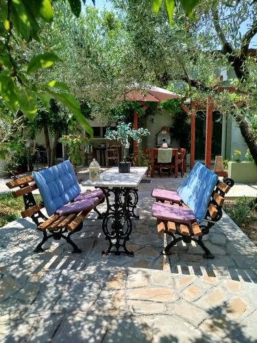 Green Olive Studios 2