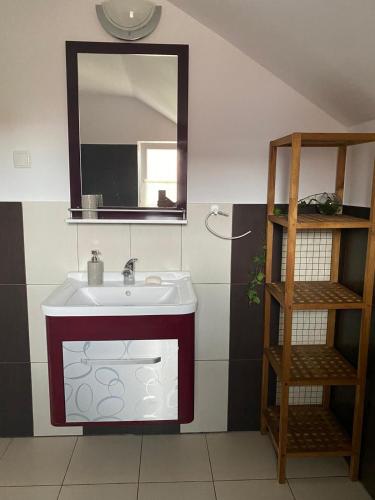 a bathroom with a sink and a mirror at Vacation Home with Garden in Sînmartin