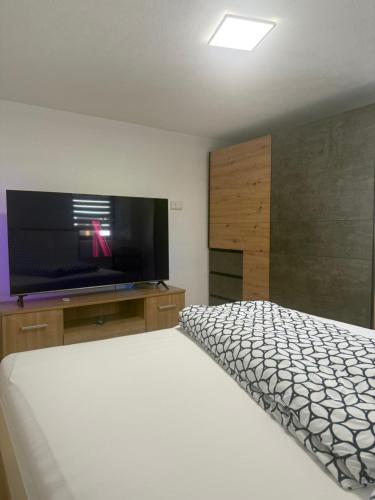 TV a/nebo společenská místnost v ubytování Ferienwohnung für Gruppen oder Familien