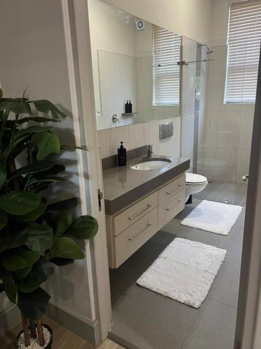 a bathroom with a sink and a toilet and a mirror at Suite Vos in Hermanus