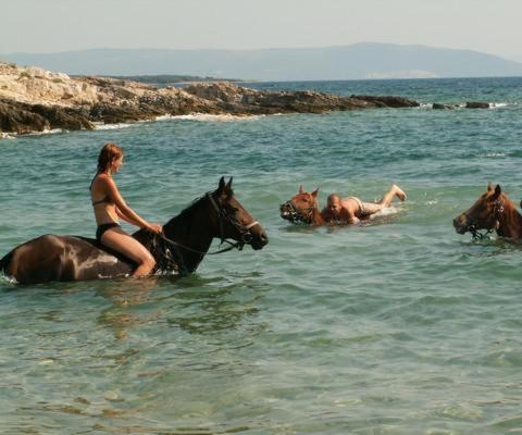 a group of people riding horses in the water at Apartments Matelici in Divšići