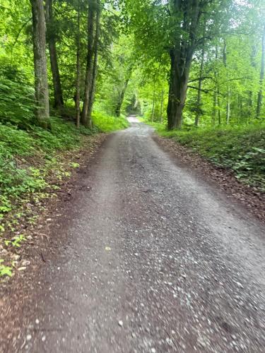 a dirt road in the middle of a forest at Ferienwohnung für Gruppen oder Familien in Schönwies