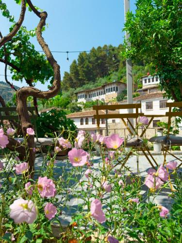 a bunch of pink flowers in a garden at Nika's Guest House in Berat