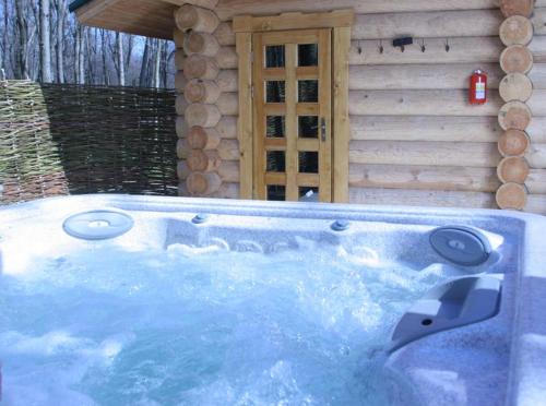 a hot tub in front of a log cabin at Hotel Doi Haiduci in Orhei