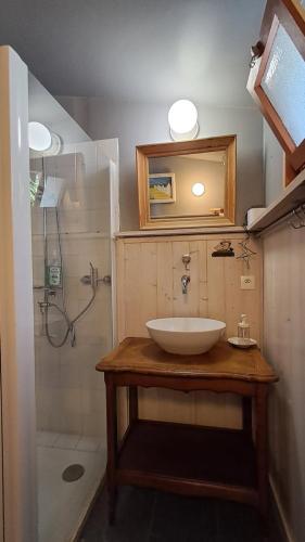 une salle de bain avec un lavabo et une douche dans l'établissement Le refuge des anges, à Beaumont-en-Véron