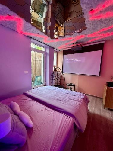 a bedroom with a large bed and a projection screen at Capsule Nuage Jacuzzi Sauna in Fontaine-lʼÉvêque
