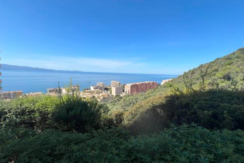 une ville sur une colline à côté de l'eau dans l'établissement Virginie - Spacious Luminous Sea view Terrace, à Ajaccio