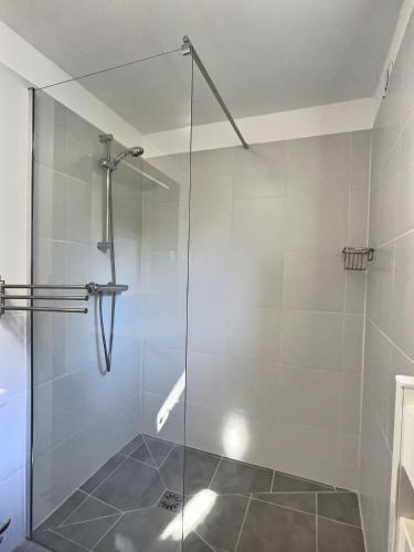 une douche avec une porte vitrée dans une salle de bain dans l'établissement Impasse des Hirondelles by Miss K Conciergerie, à Saint-Jacques-des-Arrêts