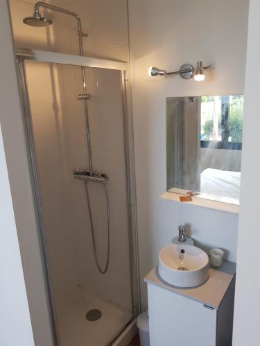 une salle de bain avec douche et lavabo dans l'établissement Appartement 2 chambres entièrement meublé et refait à neuf, à Toulouse