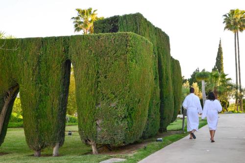 Hosté ubytování Sa Cabana Hotel & Spa - Adults Only