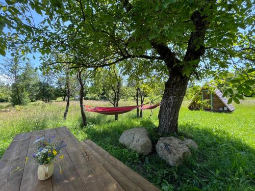 a hammock under a tree in a field at Breb 220D glamping in Breb